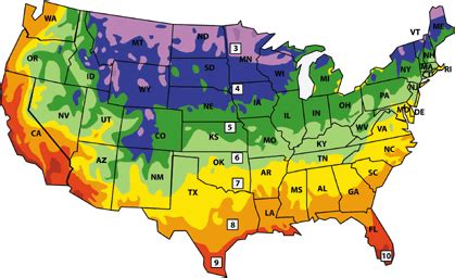 Growing Zones Map By Zip Code | Fasci Garden