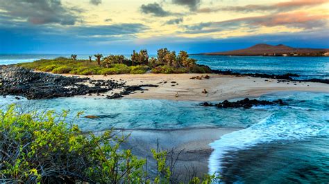 Quand partir aux îles Galápagos ? Guide de voyage | Tourlane