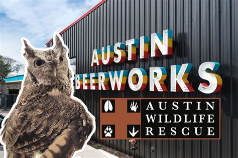 Austin Wildlife Rescue Trivia Night, Austin Beerworks, April 27 2023 | AllEvents.in