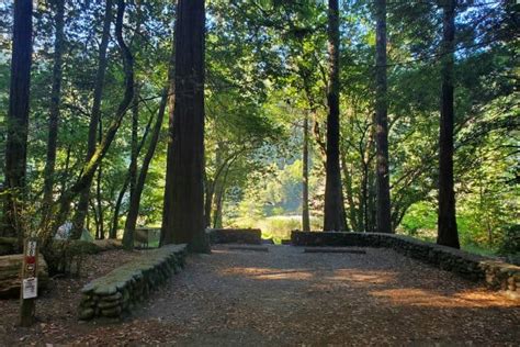 Jedediah Smith Campground - Jedediah Smith Redwoods State Park | Park ...