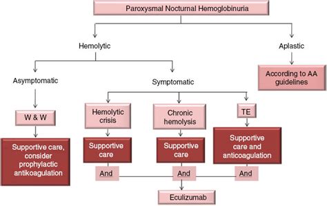 Paroxysmal Nocturnal Hemoglobinuria Revisited: News On, 43% OFF