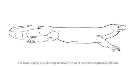 Learn How to Draw a Komodo Dragon (Reptiles) Step by Step : Drawing ...