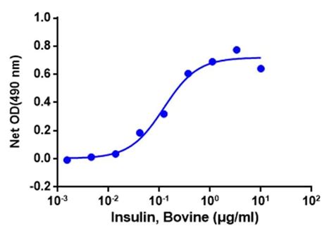 Genscript Corporation Insulin, Bovine, Quantity: Each of 1 | Fisher Scientific