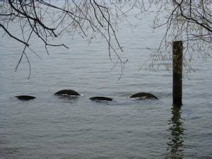 The Ogopogo Lake Monster - Mysteries Unexplained