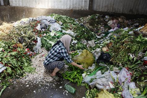 We Waste So Much Food that It's A Major Contributor to Climate Change - Newsweek