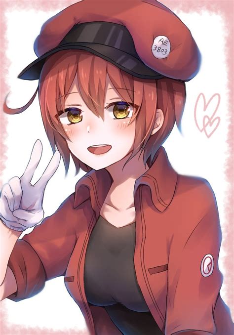 Red blood cell -very cute fanart! : r/CellsAtWork