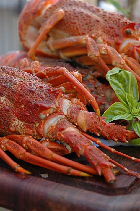 Let’s cook Lobster, crayfish or as we know it in this part of the world “kreef”! | How to cook ...