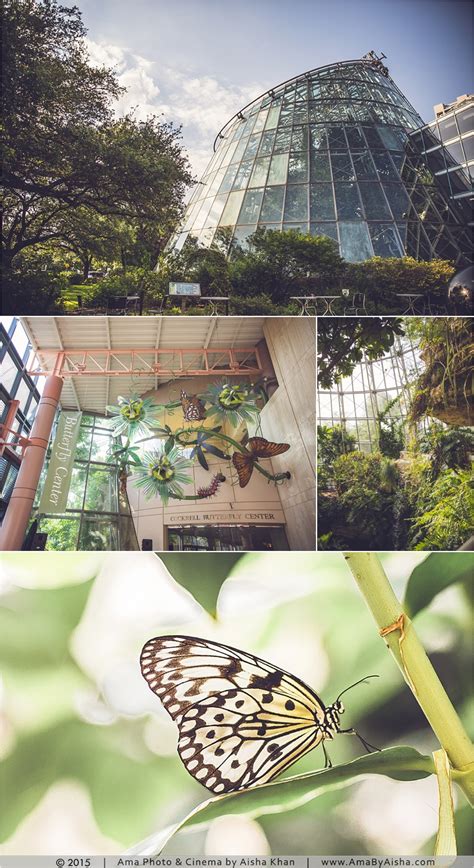 √ Houston Natural Science Museum Butterfly Exhibit - Alumn Photograph