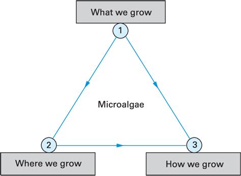 2: Available options for microalgal cultivation and possible combinations. | Download Scientific ...