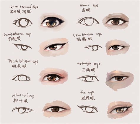 Different Eye Shapes Chart