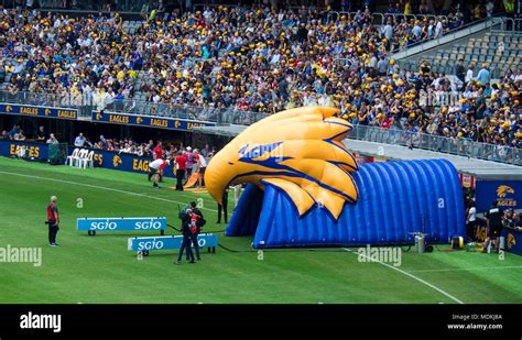 West Coast Eagles team running onto the playing field of the new Optus ...