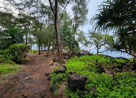 Hawaiian Paradise Park Shoreline Access, Keaau - Hawaii Beaches