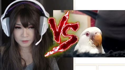 Kalbo (The Bird) VS Vinkanyx WHO GOT BETTER REACTION XD - YouTube