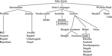 shows the position of Konkani and Sadri within Indo-Aryan, based on the... | Download Scientific ...