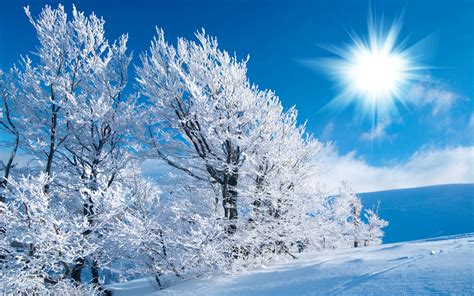 Snow Scenery Wallpaper (64+ pictures) - WallpaperSet