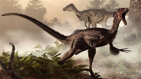 Dinosaures : un spécimen extrêmement rare d'Elaphrosaurus a été découvert en Australie