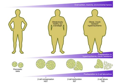 JCI - Digging deeper into obesity