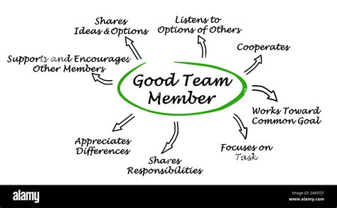 Characteristics of Good Team Member Stock Photo - Alamy