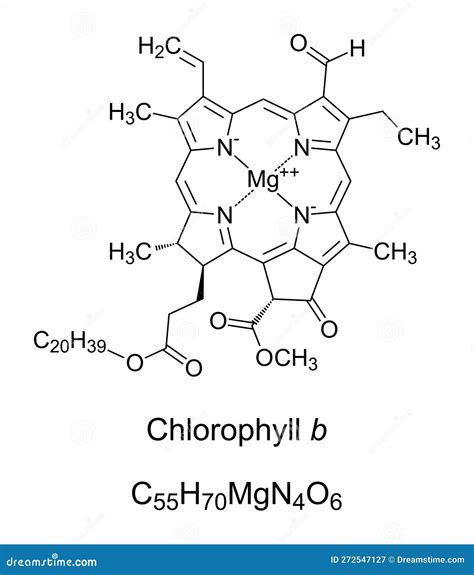 Chlorophyll B, Used By Plants For Photosynthesis, Chemical Structure ...