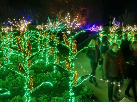 Photos of Christmas lights in America, from NYC to Los Angeles