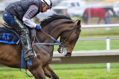 Bangalore Turf Club to Resume Races with Online Betting