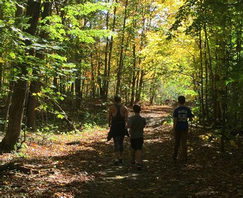 Free stock photo of Fall hike in woods