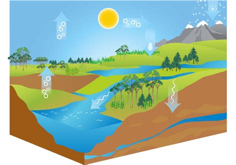 11+ Water Cycle Diagram In PNG | Kunne Diagram