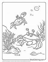 100  Crab coloring Pages Free PDF To Print Woo Coloring sketch template