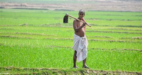 Can farmers farm for prosperity?