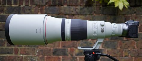 Canon RF 400mm f2.8L RF 600mm f4L review | Cameralabs