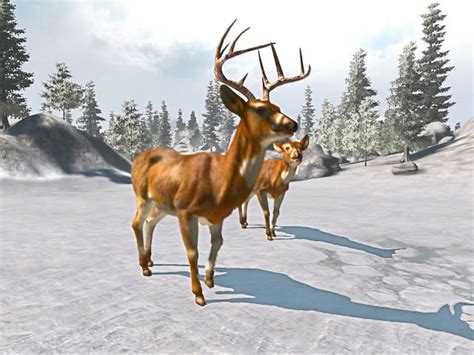 Cabela's Big Game Hunter Trophy Bucks Steam Discovery