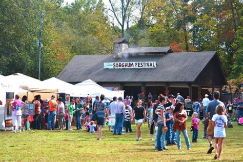 Blairsville Festivals 2024 - Alfi Lottie