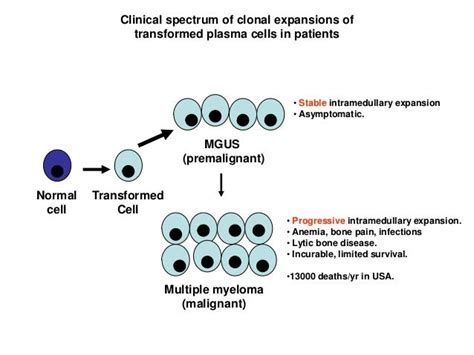 Plasma Cell Disorders