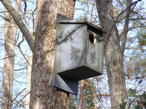 An easy step-by-step tutorial on how to make a screech owl box. # ...