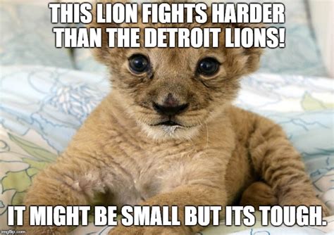 Lions Meme Templates Imgflip - vrogue.co