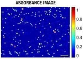 Cell Viability for Advanced Therapies | NIST