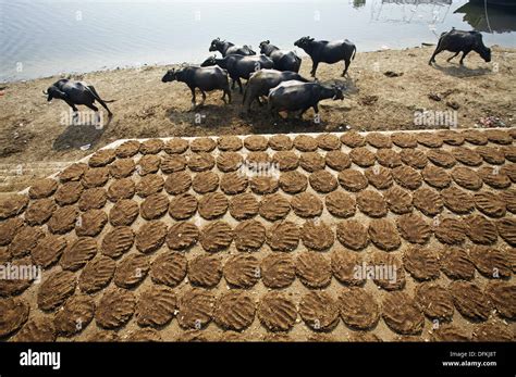 Ghats on the Ganges river, Varanasi. Uttar Pradesh, India Stock Photo ...