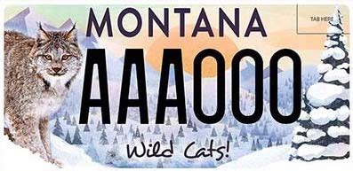 Of the 235 Montana license plate designs, these 10 are our favorites [IMAGES] | Montana Beyond