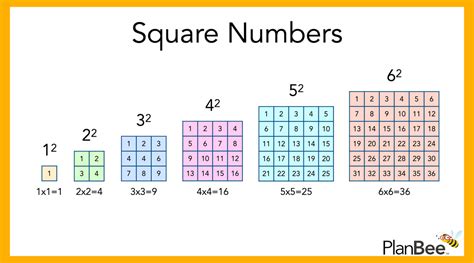 Square Numbers facts and information | A PlanBee Blog