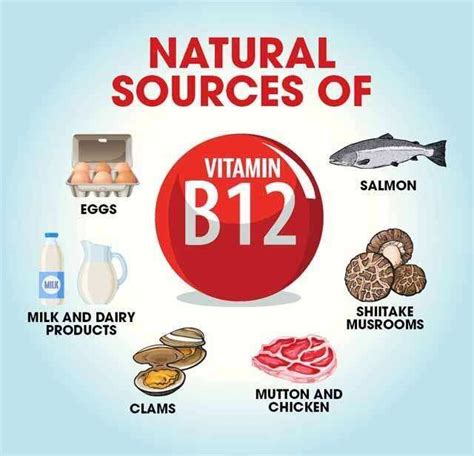 10 Top Vitamin B12 Rich Foods & Their Benefits | Femina.in