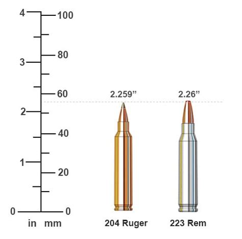 204 Ruger vs 223 Rem Ballistics Performance Comparison | Sportsman's ...