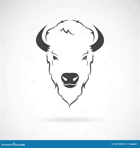 Vector of a Buffalo Head Design on White Background. Wild Animal Stock ...