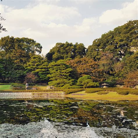 Imperial Palace Gardens, Tokyo. 10/27/20 15 : japanpics