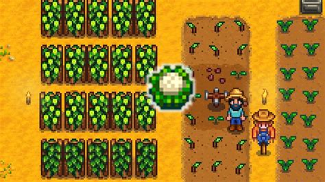 How to Grow Cauliflower in Stardew Valley