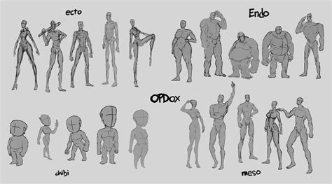 ArtStation - Class Assignment: character body types meso-endo-ecto-chibi