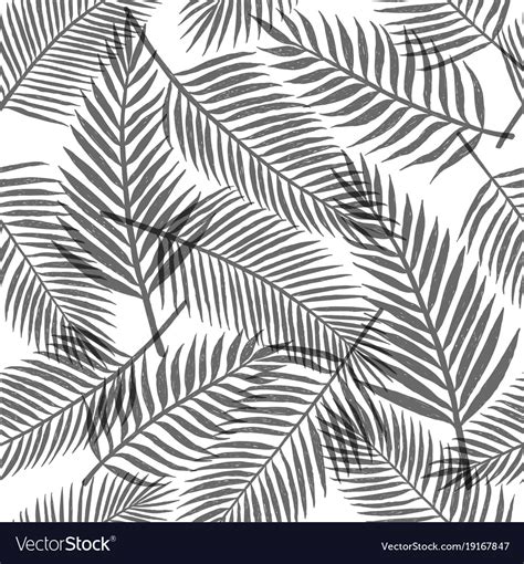 Black and white tropical leaves background Vector Image