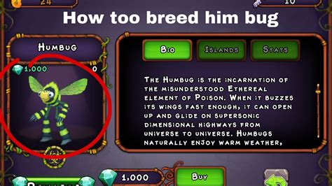 How-to breed humbug - YouTube