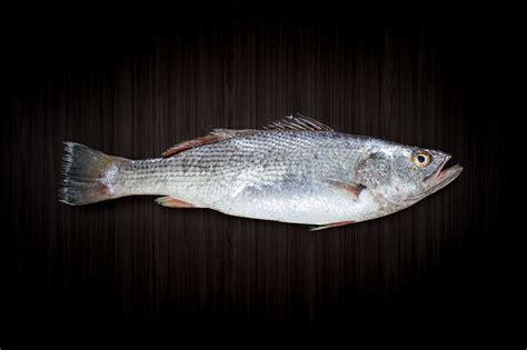 What Is Corvina?