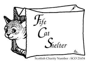 Home | Fife Cat Shelter