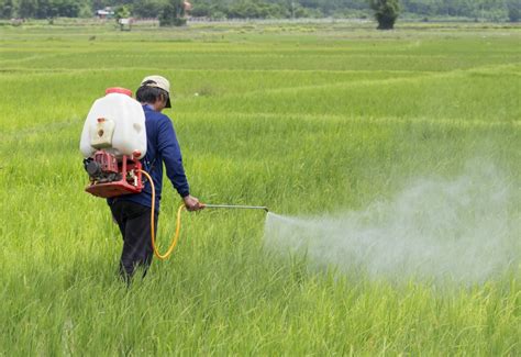 Govt focuses on boosting nano urea production - Agriculture Post